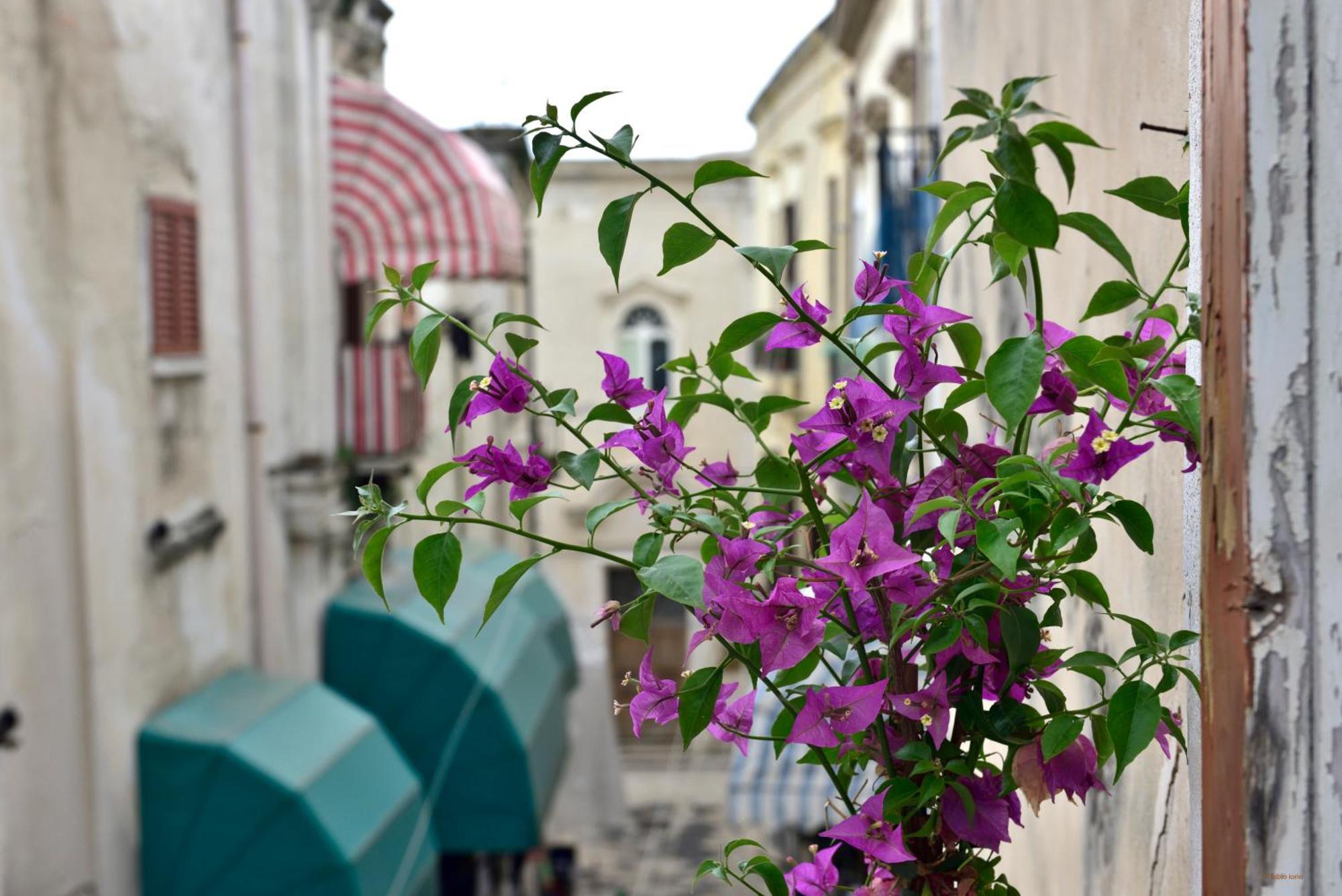Appartement Ciaobari - Elegant 4 Bedrooms In The Heart Of Old Town Bari